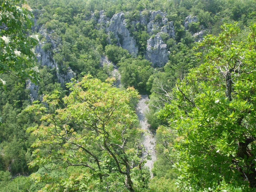 Osterija Na Planinci Bed & Breakfast Divaca Bagian luar foto