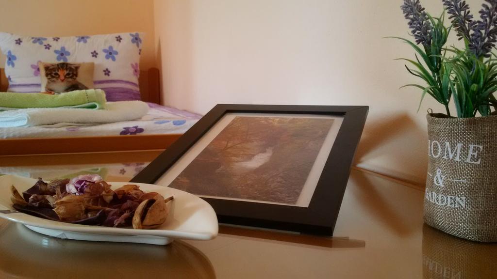 Osterija Na Planinci Bed & Breakfast Divaca Bagian luar foto